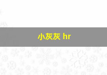 小灰灰 hr